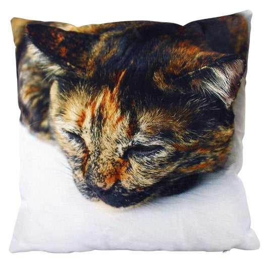 Calico Cat | Multi Colored Sleeping Cat | Pillow Cover | Cat Lover